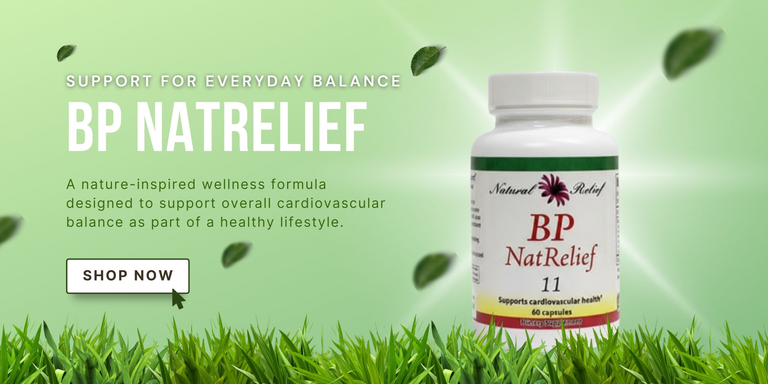 Green Elegant Natural Skincare Product Showcase Promotion Banner